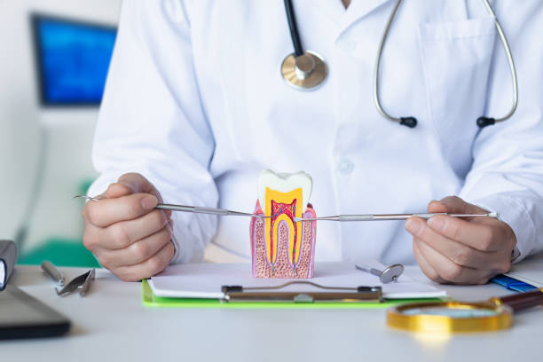 Best Emergency Root Canal Treatment in Marion, MS